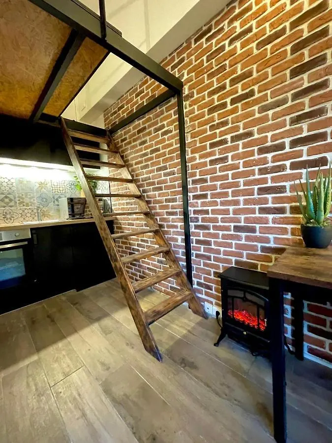 Cocooning & Modern Duplex City Center Carabacel Nice