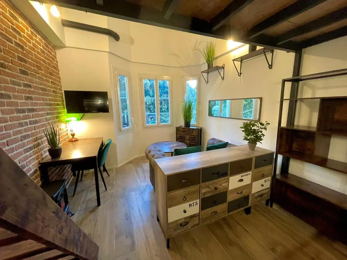 Cocooning & Modern Duplex City Center Carabacel Nice Apartment